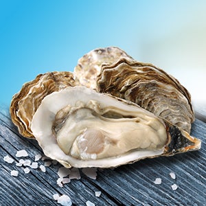 Zinc Thumbnail