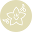 Vanilla