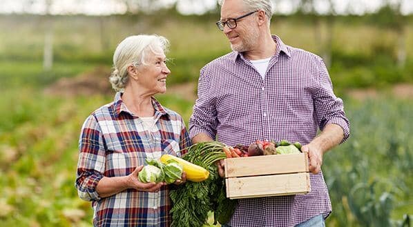 The allies for healthy ageing