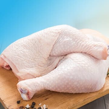 Protein